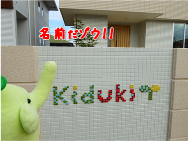 エコファント8