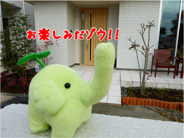 エコファント9