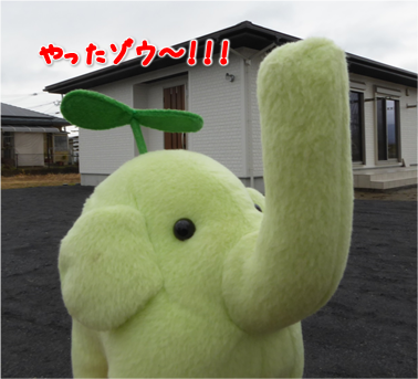 エコファント1