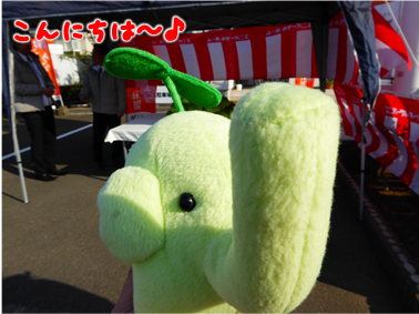 エコファント1