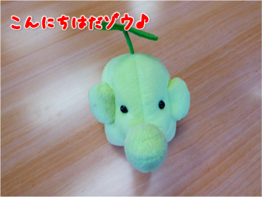 エコファント1