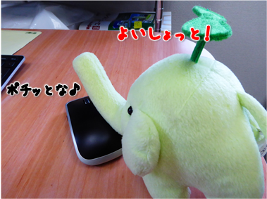 エコファント2