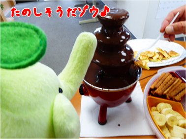 エコファント4
