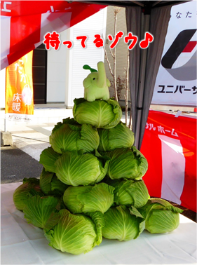 エコファント5