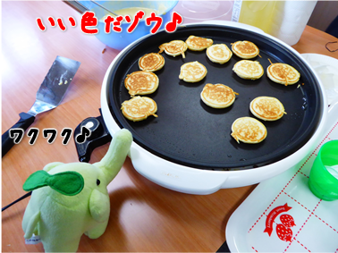 エコファント5