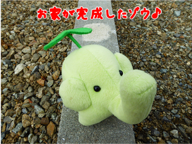 エコファント1