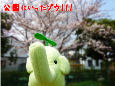 エコファント1
