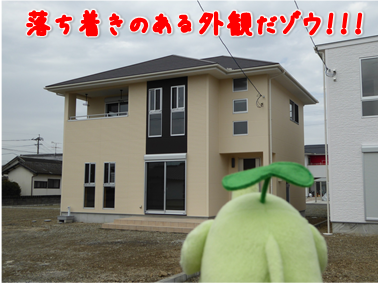 エコファント2