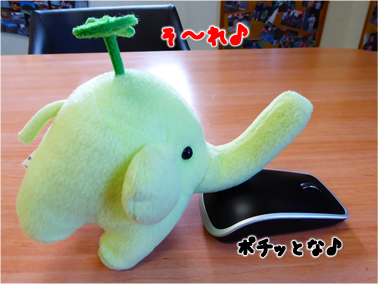 エコファント2