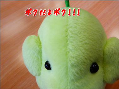 エコファント2