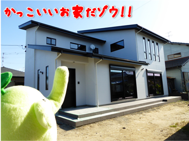 エコファント2