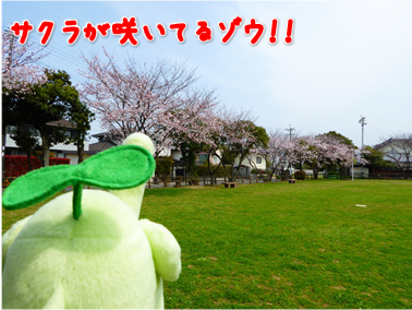 エコファント2