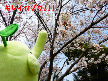 エコファント3