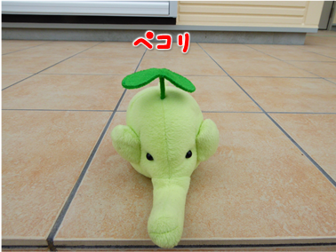 エコファント4
