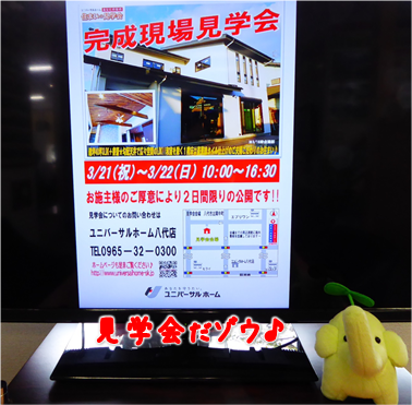 エコファント4