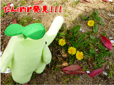 エコファント5