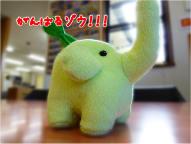 エコファント6