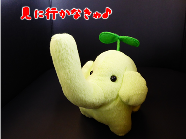 エコファント6