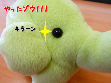 エコファント1