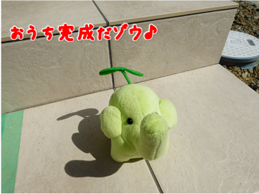 エコファント1