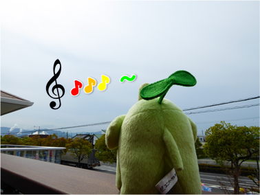 エコファント2