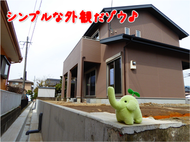 エコファント2