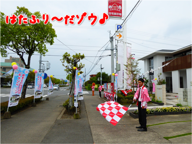 エコファント2