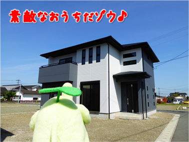 エコファント2