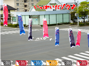 エコファント4