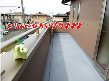 エコファント4