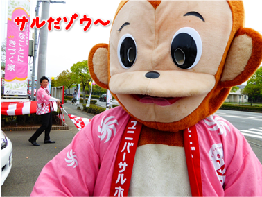エコファント4