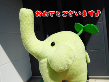 エコファント4