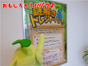 エコファント5