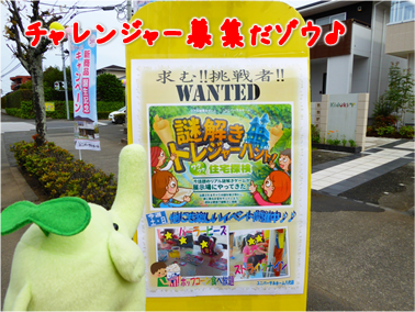 エコファント5