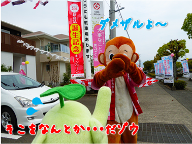 エコファント5