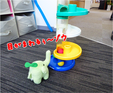 エコファント5