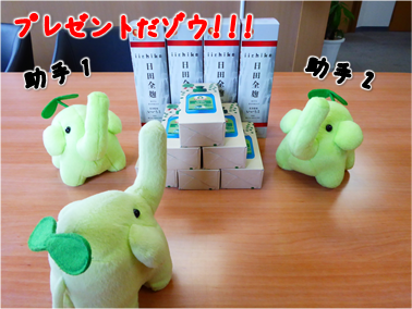 エコファント6
