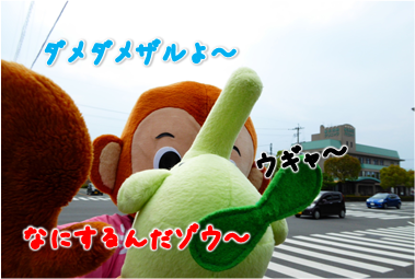 エコファント6