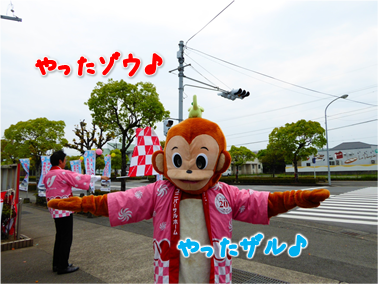 エコファント7