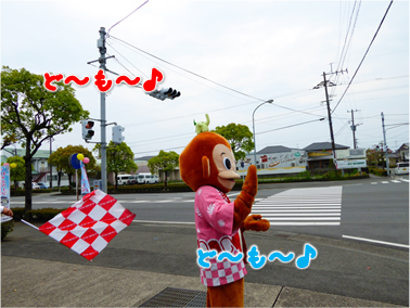 エコファント8