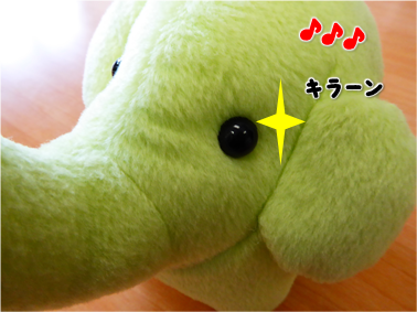 エコファント1