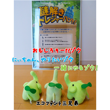 エコファント3