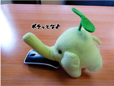 エコファント3