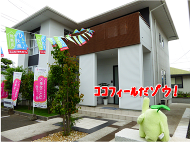 エコファント3