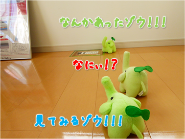 エコファント4
