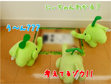 エコファント5
