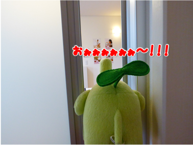 エコファント5