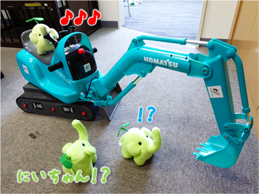 エコファント6