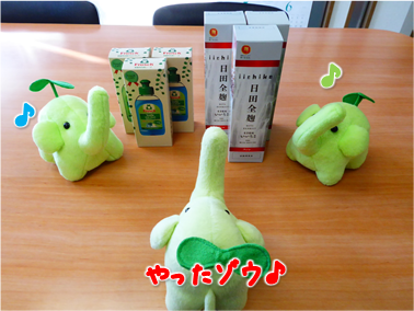 エコファント7
