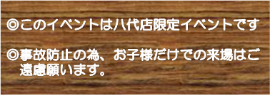 エコファント8